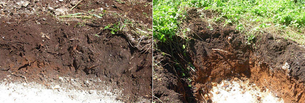 Geology and soil conditions